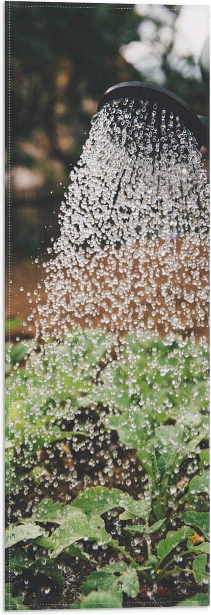 Vlag - Planten Water Geven met Gieter - 20x60 cm Foto op Polyester Vlag