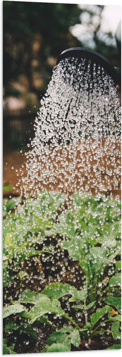 Vlag - Planten Water Geven met Gieter - 40x120 cm Foto op Polyester Vlag
