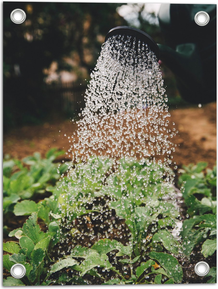 Tuinposter – Planten Water Geven met Gieter - 30x40 cm Foto op Tuinposter (wanddecoratie voor buiten en binnen)