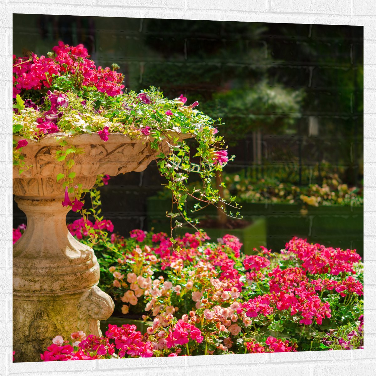 Muursticker - Felroze Bloemen uit Fontein - 100x100 cm Foto op Muursticker