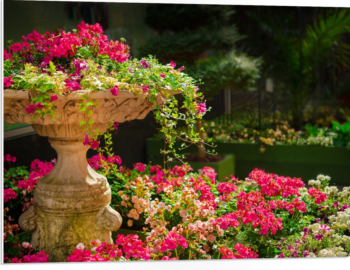 PVC Schuimplaat- Felroze Bloemen uit Fontein - 80x60 cm Foto op PVC Schuimplaat