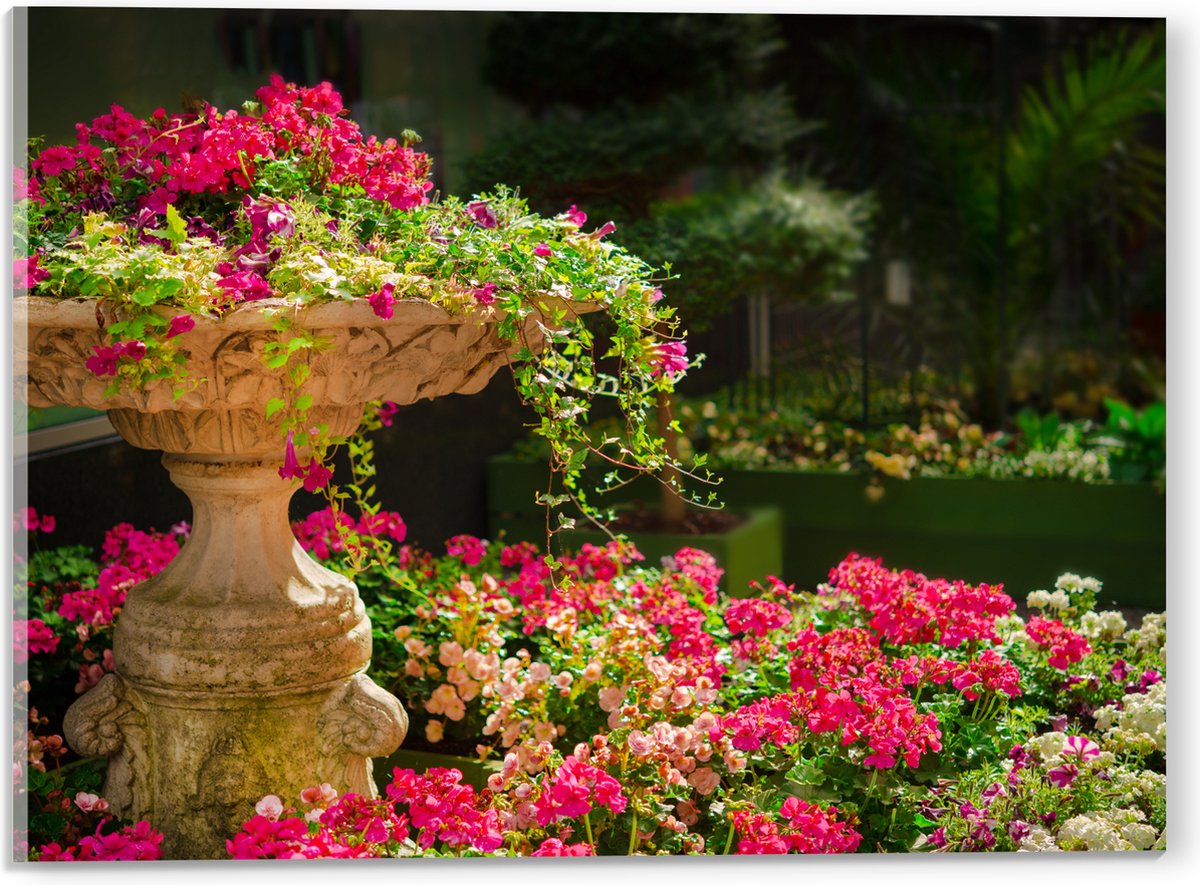 Acrylglas - Felroze Bloemen uit Fontein - 40x30 cm Foto op Acrylglas (Wanddecoratie op Acr