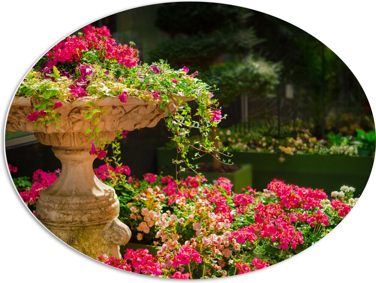 PVC Schuimplaat Ovaal - Felroze Bloemen uit Fontein - 80x60 cm Foto op Ovaal (Met Ophangsy