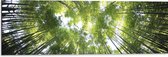 WallClassics - Dibond - Onderaanzicht van Zonlichtstralen door Bomen - 90x30 cm Foto op Aluminium (Wanddecoratie van metaal)
