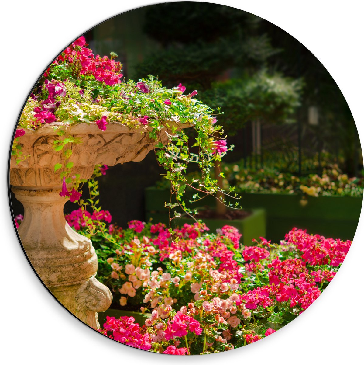 Dibond Muurcirkel - Felroze Bloemen uit Fontein - 30x30 cm Foto op Aluminium Muurcirkel (m