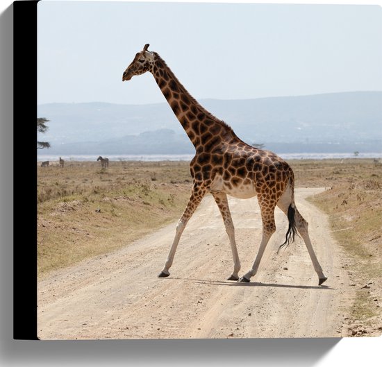 Canvas - Giraffe op de Weg in Kenia - 30x30 cm Foto op Canvas Schilderij (Wanddecoratie op Canvas)
