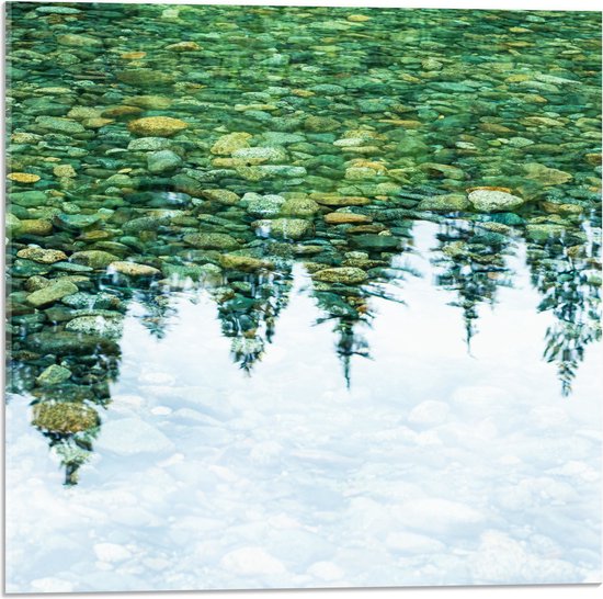 Acrylglas - Stenen in het Water weerspiegelende Bomen - 50x50 cm Foto op Acrylglas (Wanddecoratie op Acrylaat)