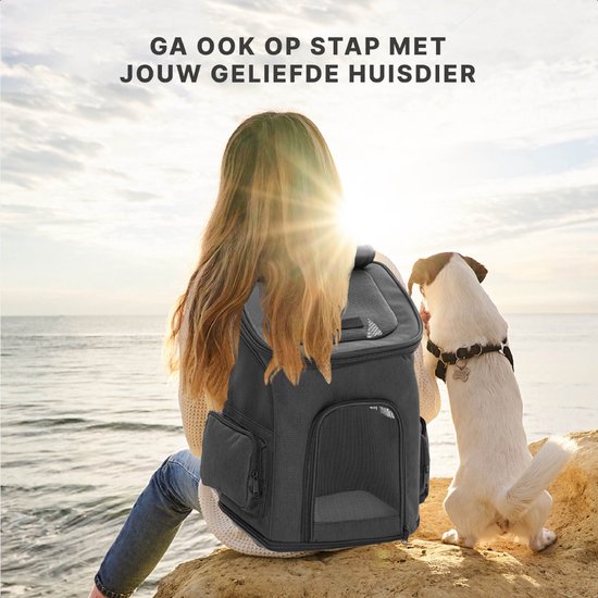 Femme avec un chien sur un rocher au bord de la mer, avec un sac à dos pour chien noir à côté.