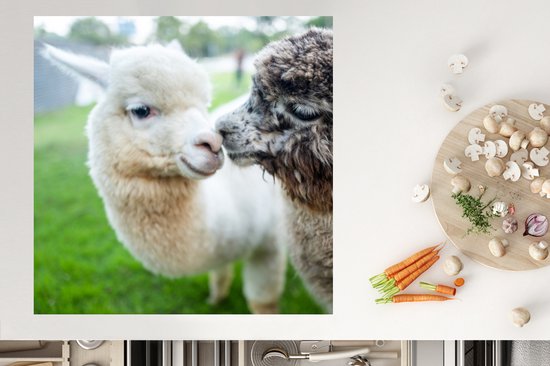 KitchenYeah® Inductie beschermer 78x78 cm - Alpaca - Liefde - Gras - Kookplaataccessoires - Afdekplaat voor kookplaat - Inductiebeschermer - Inductiemat - Inductieplaat mat