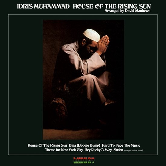 House of the Rising Sun, Bob Dylan Muziek