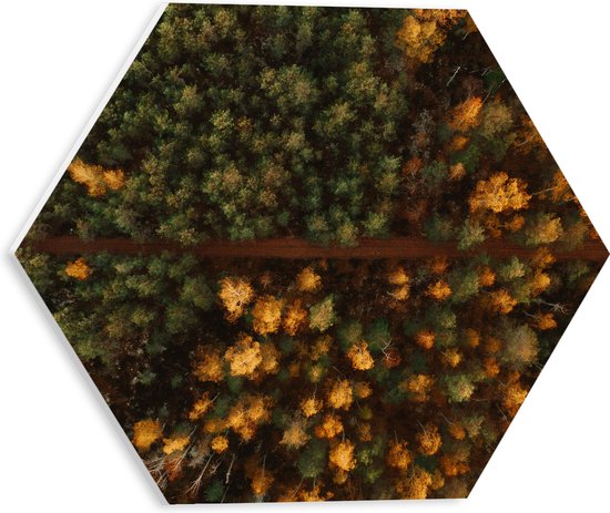 WallClassics - PVC Schuimplaat Hexagon - Bovenaanzicht van Bos met Groene en Oranje Bomen - 30x26.1 cm Foto op Hexagon (Met Ophangsysteem)