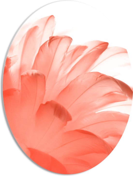 WallClassics - PVC Schuimplaat Ovaal - Roze Veren tegen Witte Achtergrond - 42x56 cm Foto op Ovaal (Met Ophangsysteem)