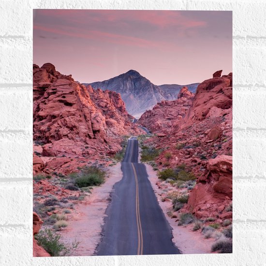 WallClassics - Muursticker - Weg in Valley of Fire State Park in Nevada - 30x40 cm Foto op Muursticker