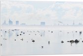 WallClassics - Acrylglas - Mist bij Skyline achter Meer met Vogels - 90x60 cm Foto op Acrylglas (Met Ophangsysteem)