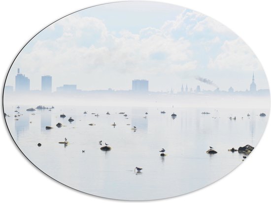 WallClassics - Dibond Ovaal - Mist bij Skyline achter Meer met Vogels - 96x72 cm Foto op Ovaal (Met Ophangsysteem)