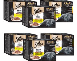Sheba natte kattenvoeding – kuipjes mini filets in saus – selectie gevogelte – (12 x 85g) x 6