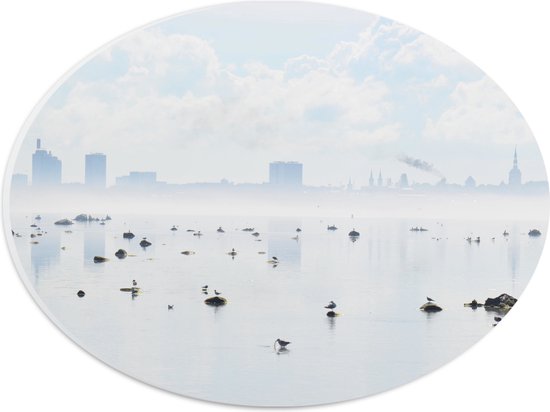 WallClassics - PVC Schuimplaat Ovaal - Mist bij Skyline achter Meer met Vogels - 28x21 cm Foto op Ovaal (Met Ophangsysteem)