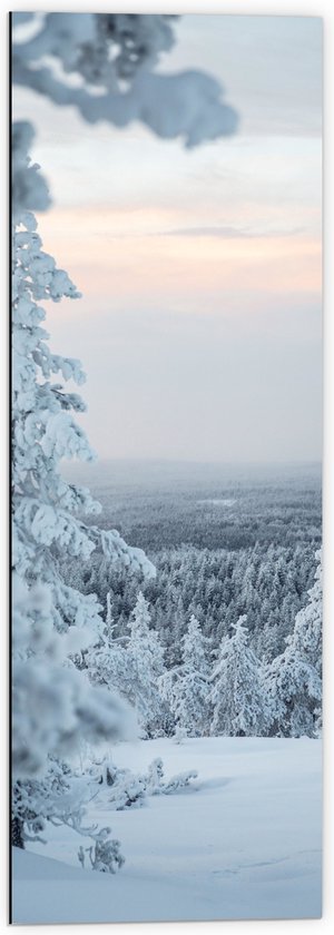 Dibond - Besneeuwde Bomen op Berg - 40x120 cm Foto op Aluminium (Met Ophangsysteem)