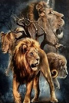 Denza - Diamond painting leeuwen 40 x 50 cm volledige bedrukking ronde steentjes direct leverbaar - lion - Big5