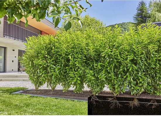 Optimale Gardena Bewatering tijdens je Vakantie Optimale Gardena Bewatering tijdens je Vakantie