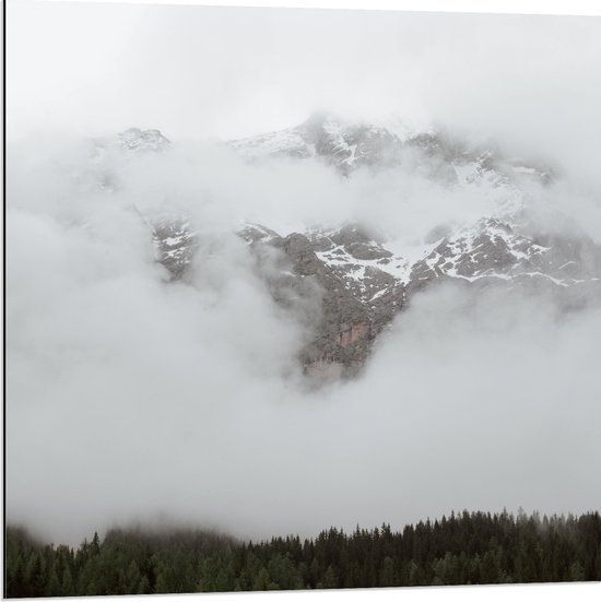 Dibond - Bos aan de Rand van Hoge Bergen in de Mist - 80x80 cm Foto op Aluminium (Met Ophangsysteem)