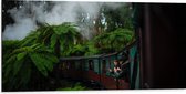 WallClassics - Dibond - Stoom Trein door de Jungle - 100x50 cm Foto op Aluminium (Wanddecoratie van metaal)