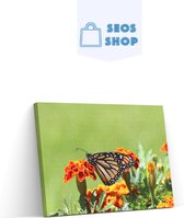 SEOS Shop ® Diamond Painting Volwassenen - Diamond Painting Kinderen - Diamond Painting Pakket Volledig - Vlinder - 50x30 cm