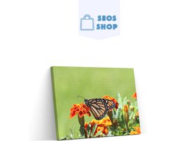 SEOS Shop ® Diamond Painting Volwassenen - Diamond Painting Kinderen - Diamond Painting Pakket Volledig - Vlinder - 50x30 cm
