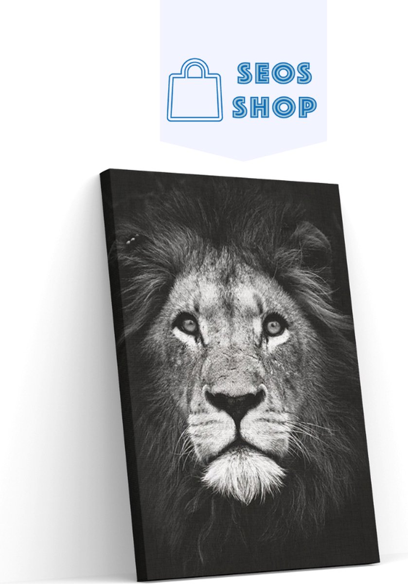 SEOS Shop ® Diamond Painting Pakket Zwart Wit Leeuw - Volwassenen - 40x50 cm - Vierkant