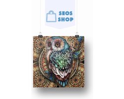 SEOS Shop ® Diamond Painting Volwassenen - Diamond Painting Kinderen - Diamond Painting Pakket Volledig - Kleurrijke Uil - 40x40 cm