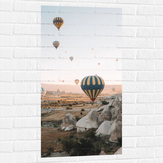 WallClassics - Muursticker - Grote Groep Luchtballonnen Vliegend boven Rotsig Landschap - 50x100 cm Foto op Muursticker