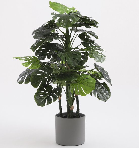 Een grote, volle kunst Monstera plant in een grijze pot.