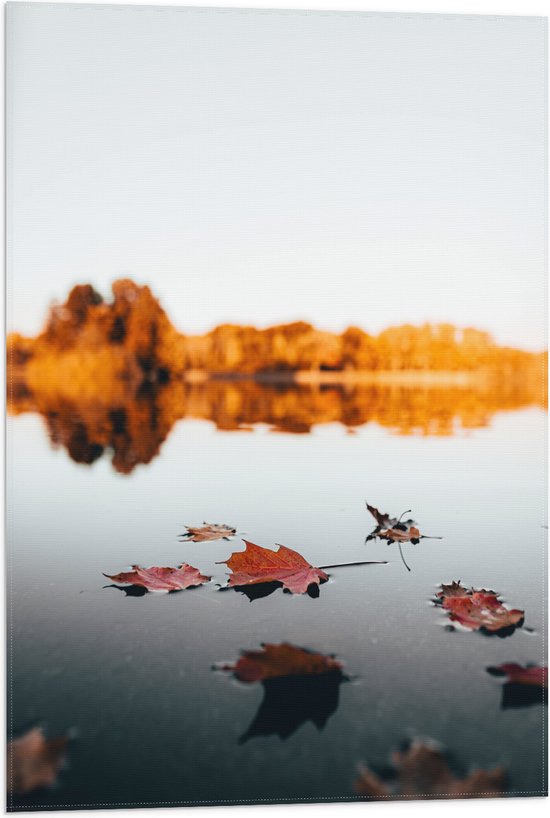 WallClassics - Vlag - Herfstbladeren op het Water omringd door Bomen - 50x75 cm Foto op Polyester Vlag