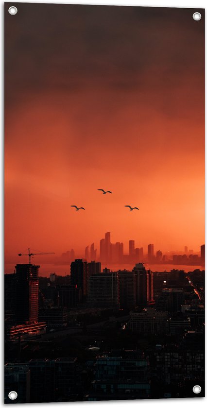 WallClassics - Tuinposter – Trio vogels boven Gebouwen in de Stad - 50x100 cm Foto op Tuinposter (wanddecoratie voor buiten en binnen)