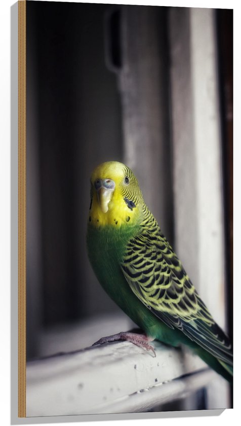 WallClassics - Hout - Groene Vogel met Gele Kop Zittend op een Venster - 50x100 cm - 9 mm dik - Foto op Hout (Met Ophangsysteem)