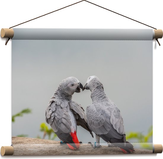 Textielposter - Liefdevol Grijs Vogelpaar met Rode Staarten - 40x30 cm Foto op Textiel