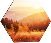 Dibond Hexagon - De Zon boven een Berglandschap - 50x43.5 cm Foto op Hexagon (Met Ophangsysteem)