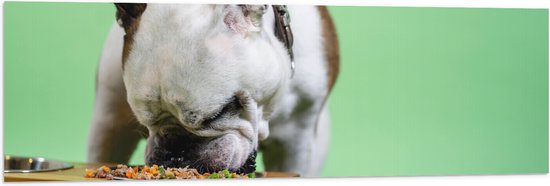 WallClassics - Vlag - Hondje aan het Eten voor Groene Achtergrond - Buldog - 120x40 cm Foto op Polyester Vlag