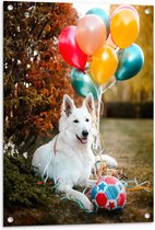 WallClassics - Tuinposter – Liggende Hond met Bal en Ballonnen - 60x80 cm Foto op Tuinposter (wanddecoratie voor buiten en binnen)