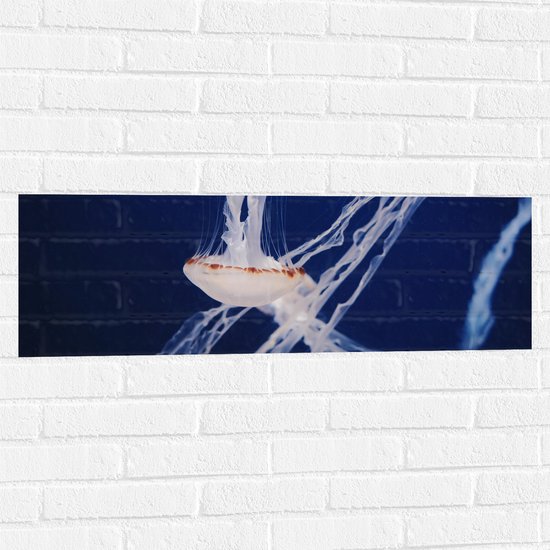 WallClassics - Muursticker - Kwal in Donkere Oceaan - 90x30 cm Foto op Muursticker