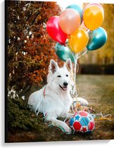 WallClassics - Canvas - Liggende Hond met Bal en Ballonnen - 75x100 cm Foto op Canvas Schilderij (Wanddecoratie op Canvas)