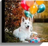 WallClassics - Canvas - Liggende Hond met Bal en Ballonnen - 30x30 cm Foto op Canvas Schilderij (Wanddecoratie op Canvas)