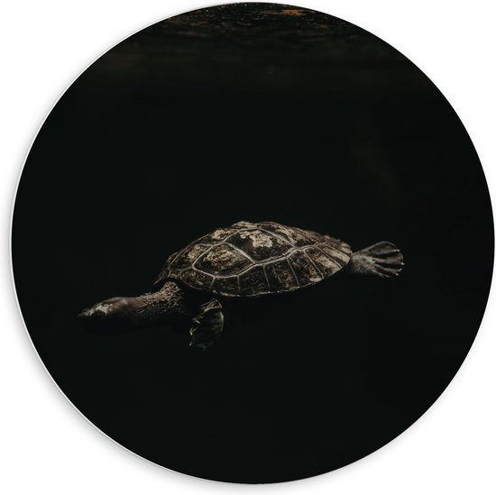 WallClassics - PVC Schuimplaat Muurcirkel - Schildpad zwemmend in Zwart Water - 60x60 cm Foto op Muurcirkel (met ophangsysteem)