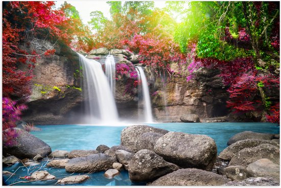 Poster (Mat) - Groepje Stenen in het Water bij Waterval met Rode en Roze Planten - 105x70 cm Foto op Posterpapier met een Matte look