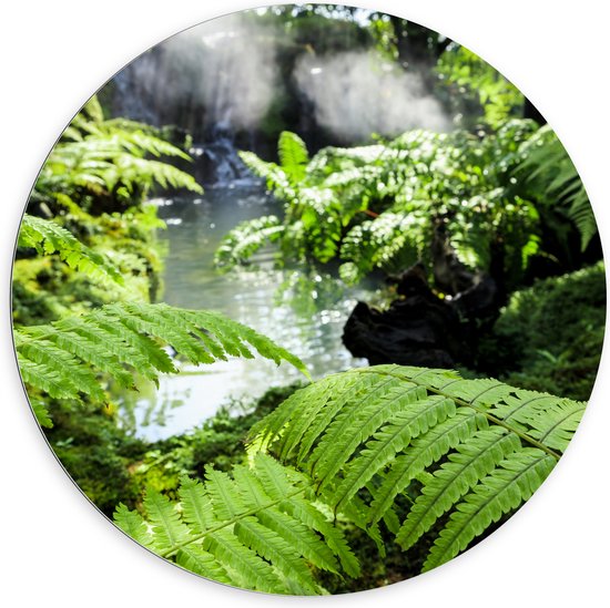 Dibond Muurcirkel - Groene Bladeren bij Water in Regenwoud - 100x100 cm Foto op Aluminium Muurcirkel (met ophangsysteem)