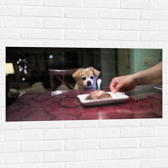 WallClassics - Muursticker - Jarig Klein Hondje zittend op Stoel aan Eettafel - 100x50 cm Foto op Muursticker