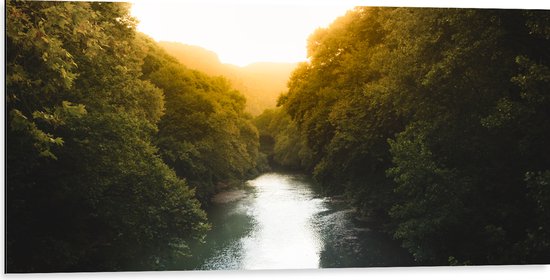 Dibond - Kalme Rivier tussen Bossen bij Zonsopkomst - 100x50 cm Foto op Aluminium (Wanddecoratie van metaal)