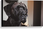 WallClassics - Canvas - Hoofd van Zwarte Hond - 60x40 cm Foto op Canvas Schilderij (Wanddecoratie op Canvas)
