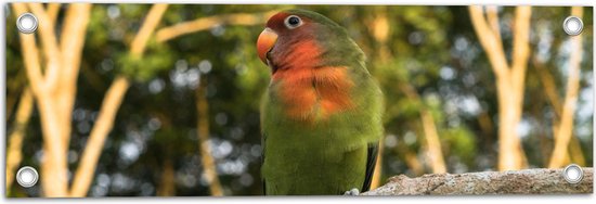 Tuinposter – Opzijkijkende Groen met Oranje Parkiet op Tak bij Bos - 60x20 cm Foto op Tuinposter (wanddecoratie voor buiten en binnen)