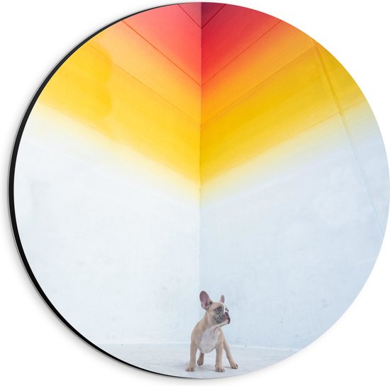 WallClassics - Dibond Muurcirkel - Puppy onder Regenboog Street Art - 20x20 cm Foto op Aluminium Muurcirkel (met ophangsysteem)